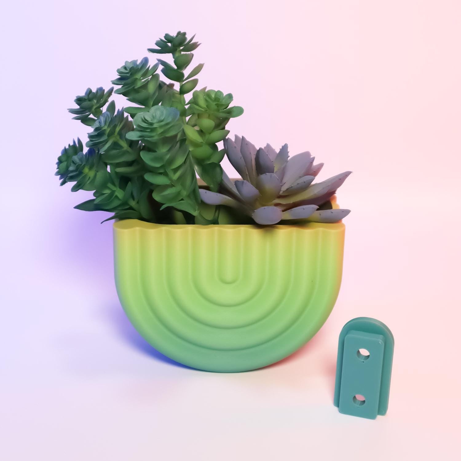 Wall Mounted Rainbow Planter