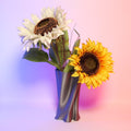 Curvy Vase Design