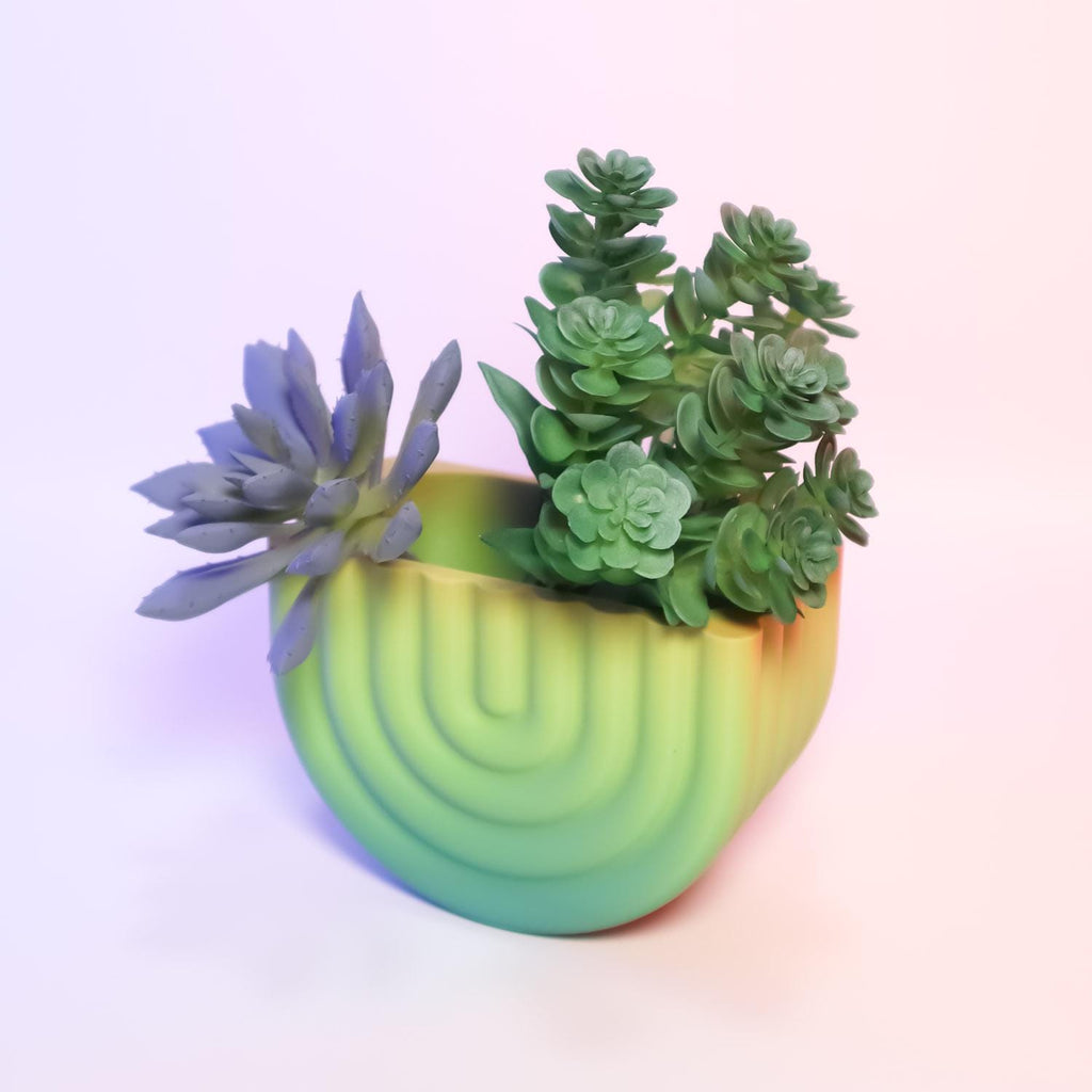Wall Mounted Rainbow Planter